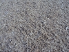 DSC001031